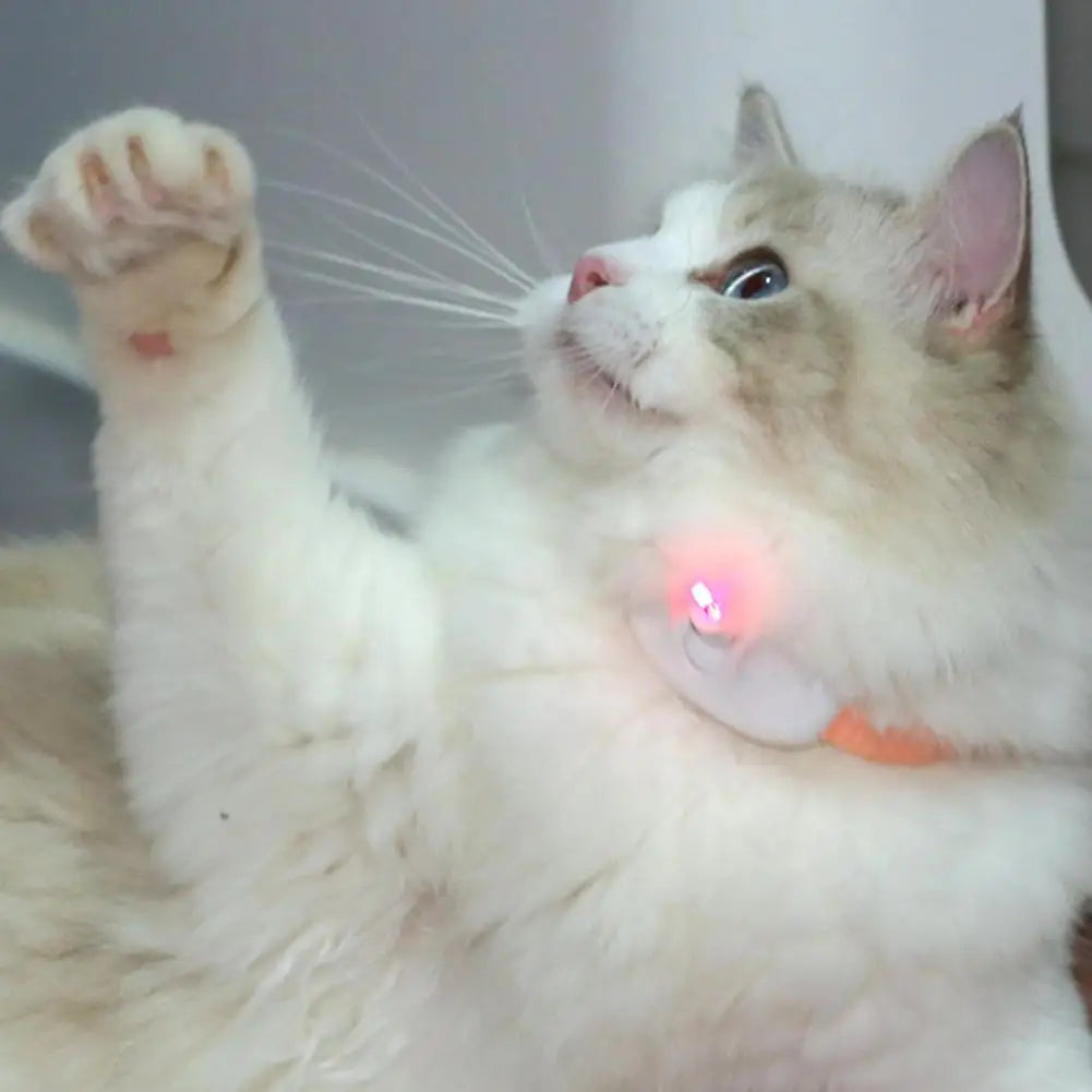 Coleira Laser Mãos Livres Interativa