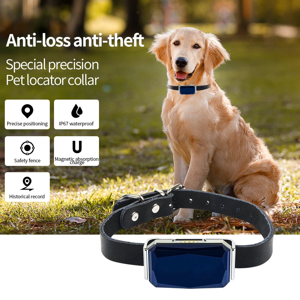 Coleira GPS Smart Diamond